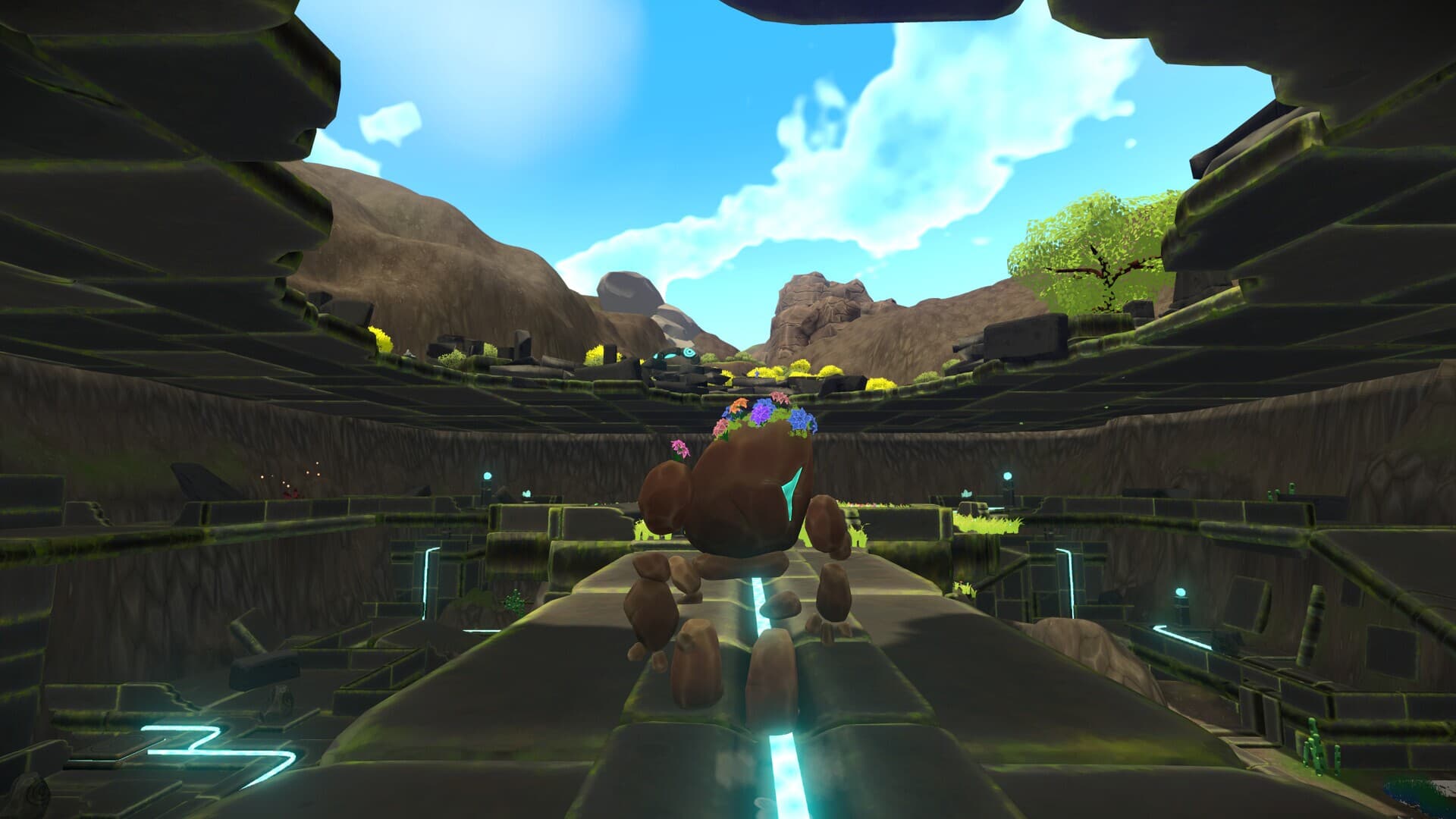 Unpetrified: Echoes of Nature