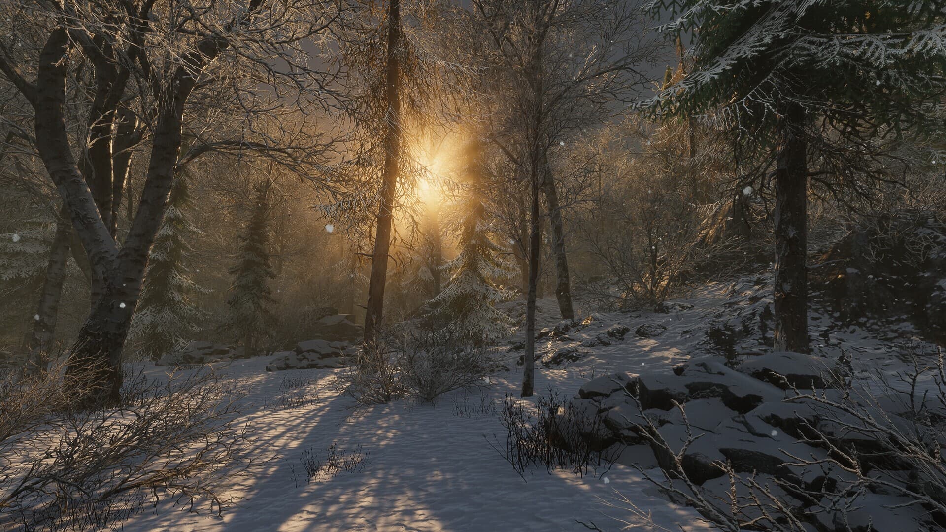 Forest of Lost Wanderers