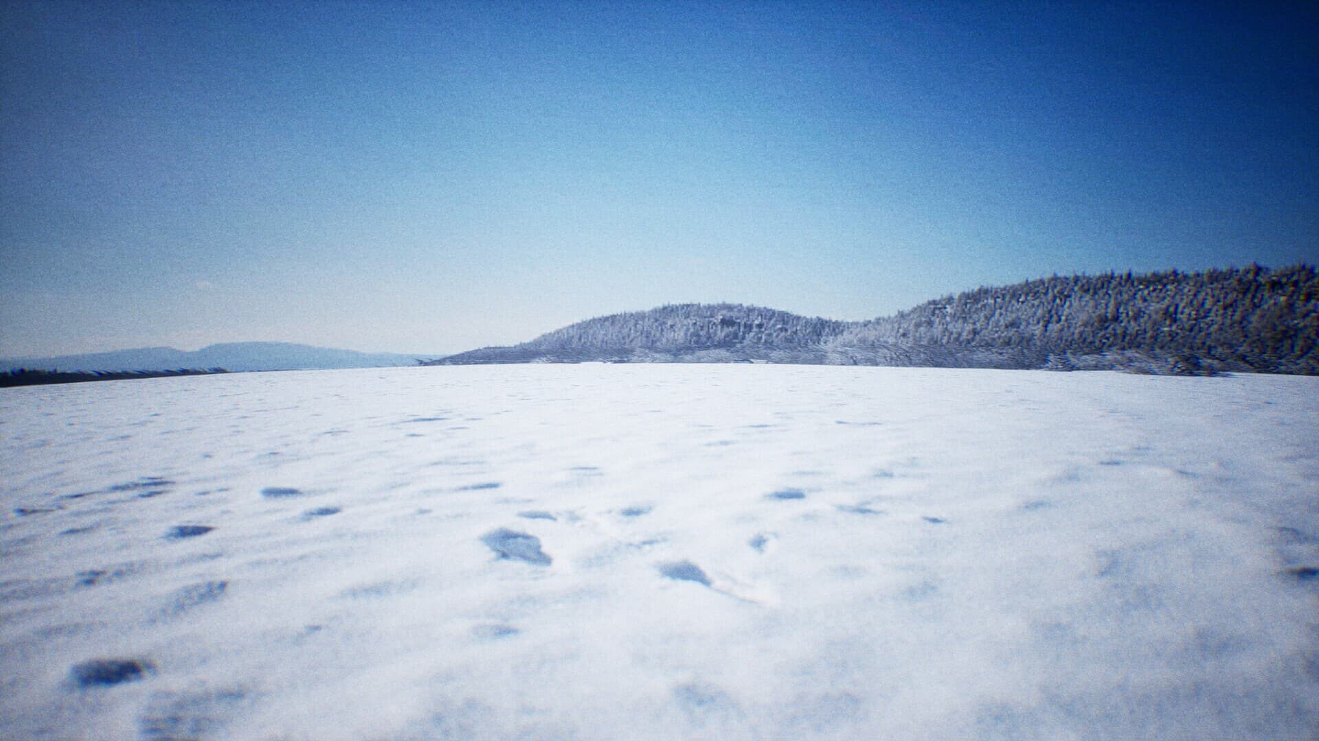 VR Boxing: Champion's Forge​