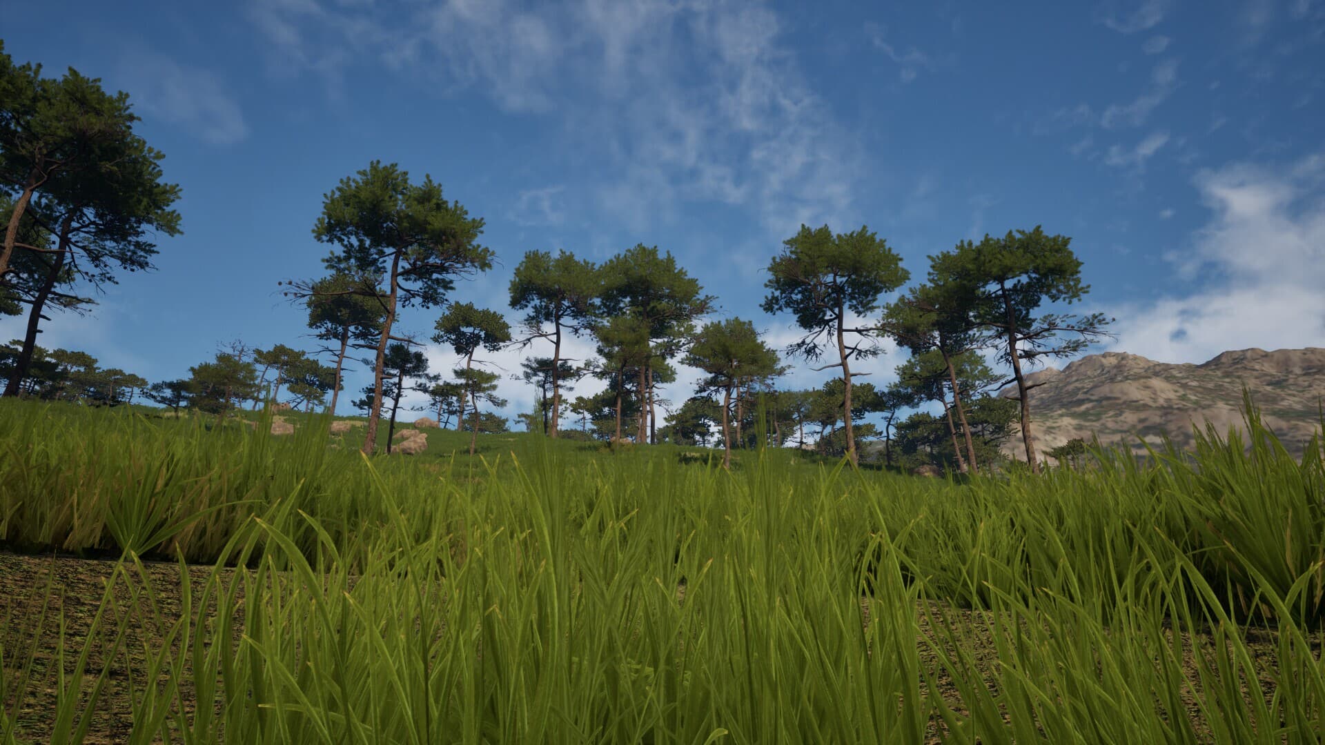 Grass Life Sim 2