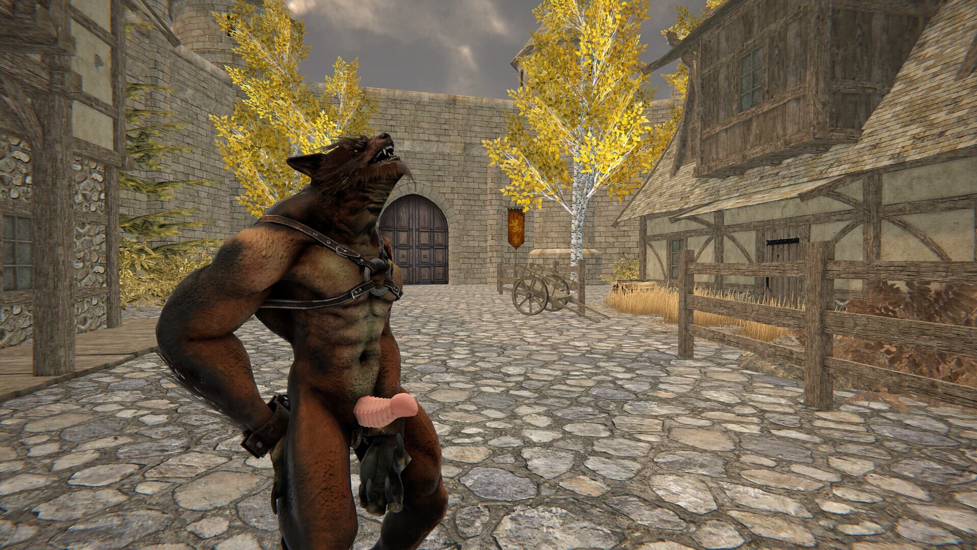 YOUR MEDIEVAL ADULT STORE