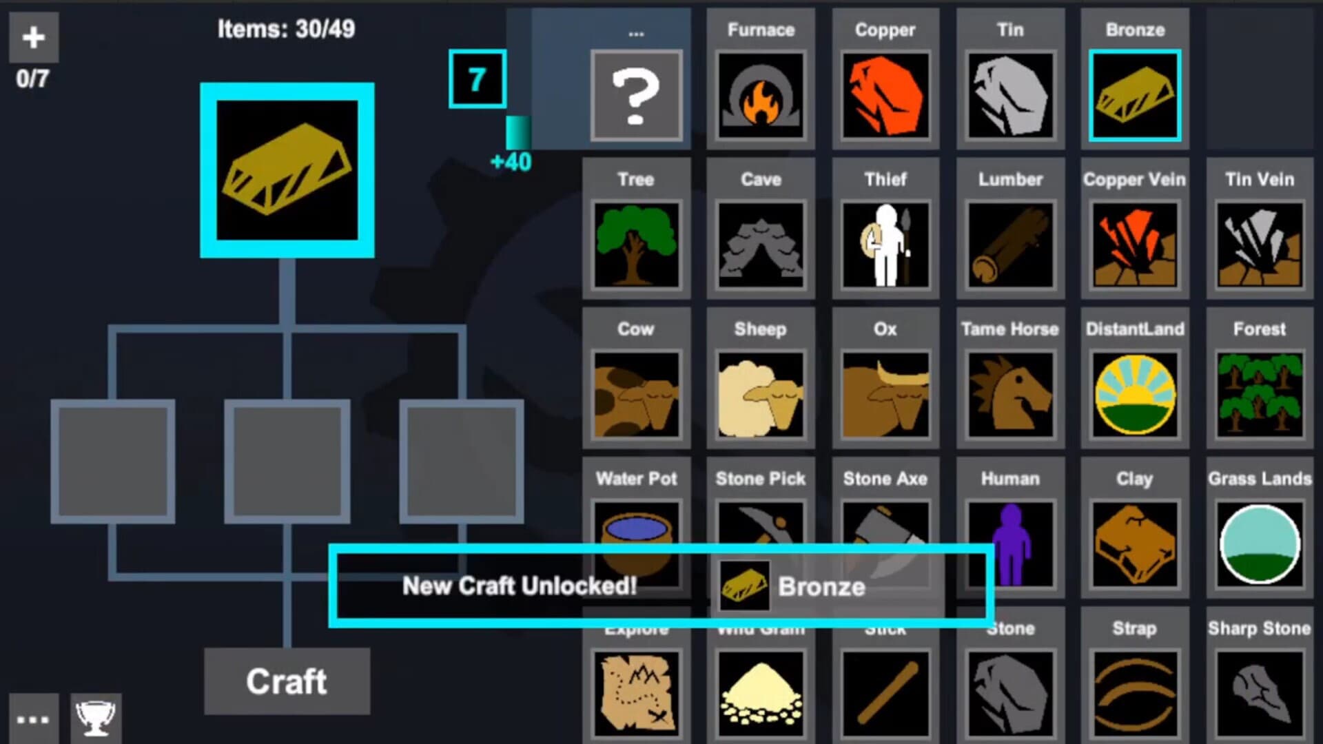 Sapiens Craft Puzzle