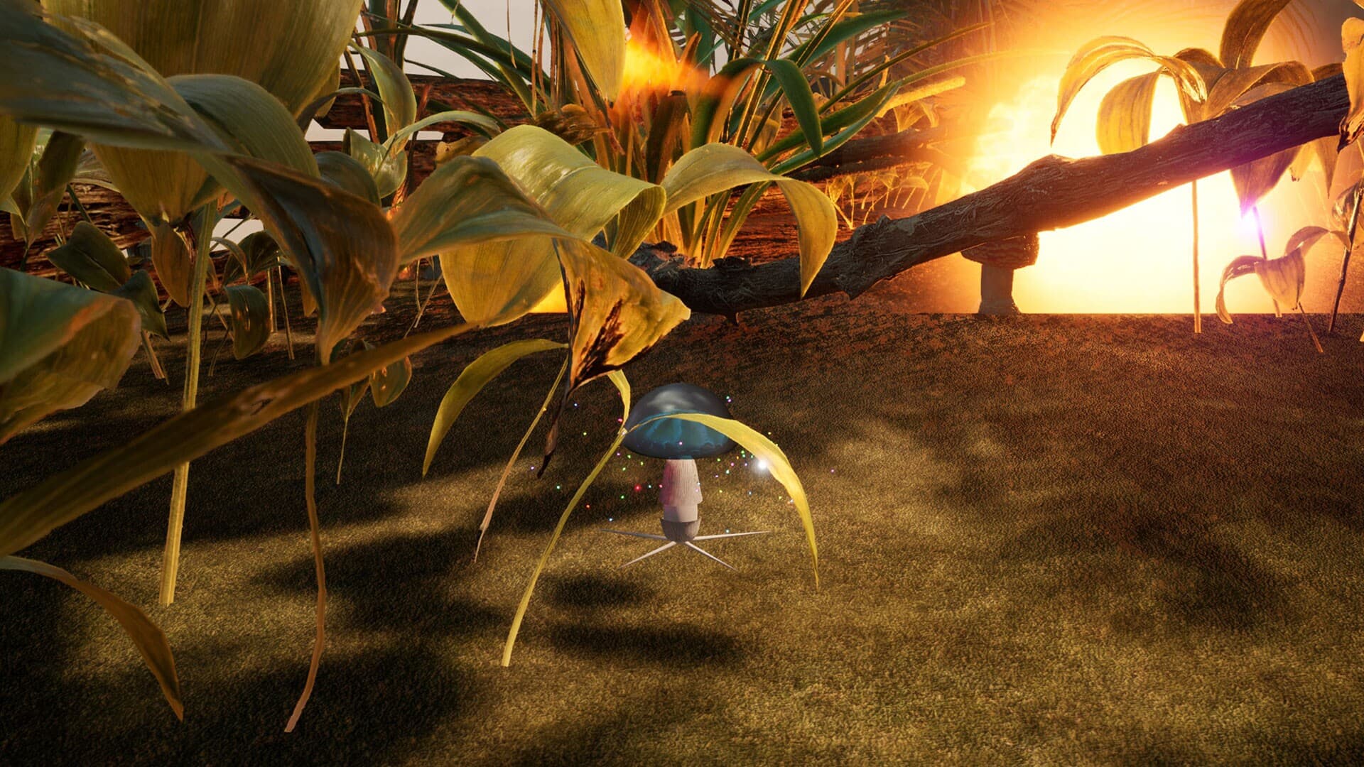 The Mushroom Adventrue:Call of Distant Realms