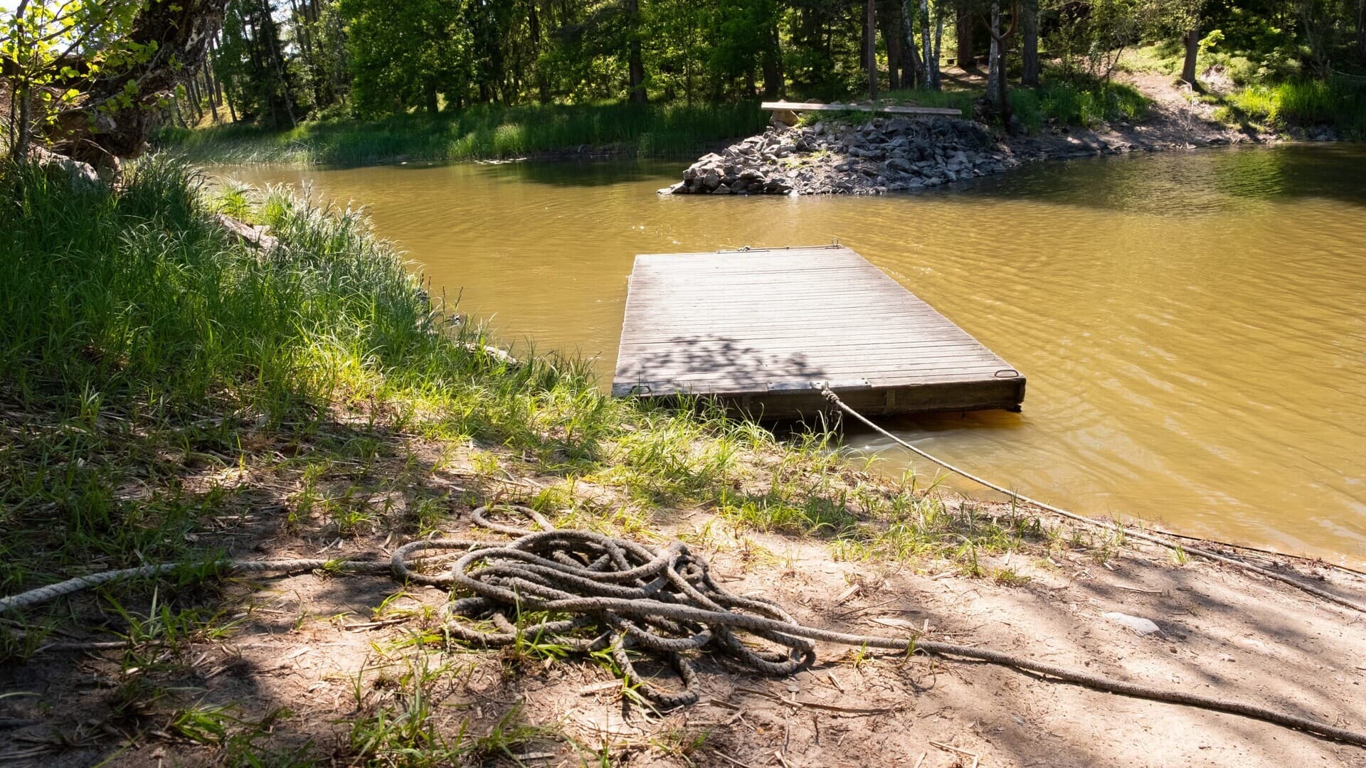 The Game Maker: A Carol Reed Mystery